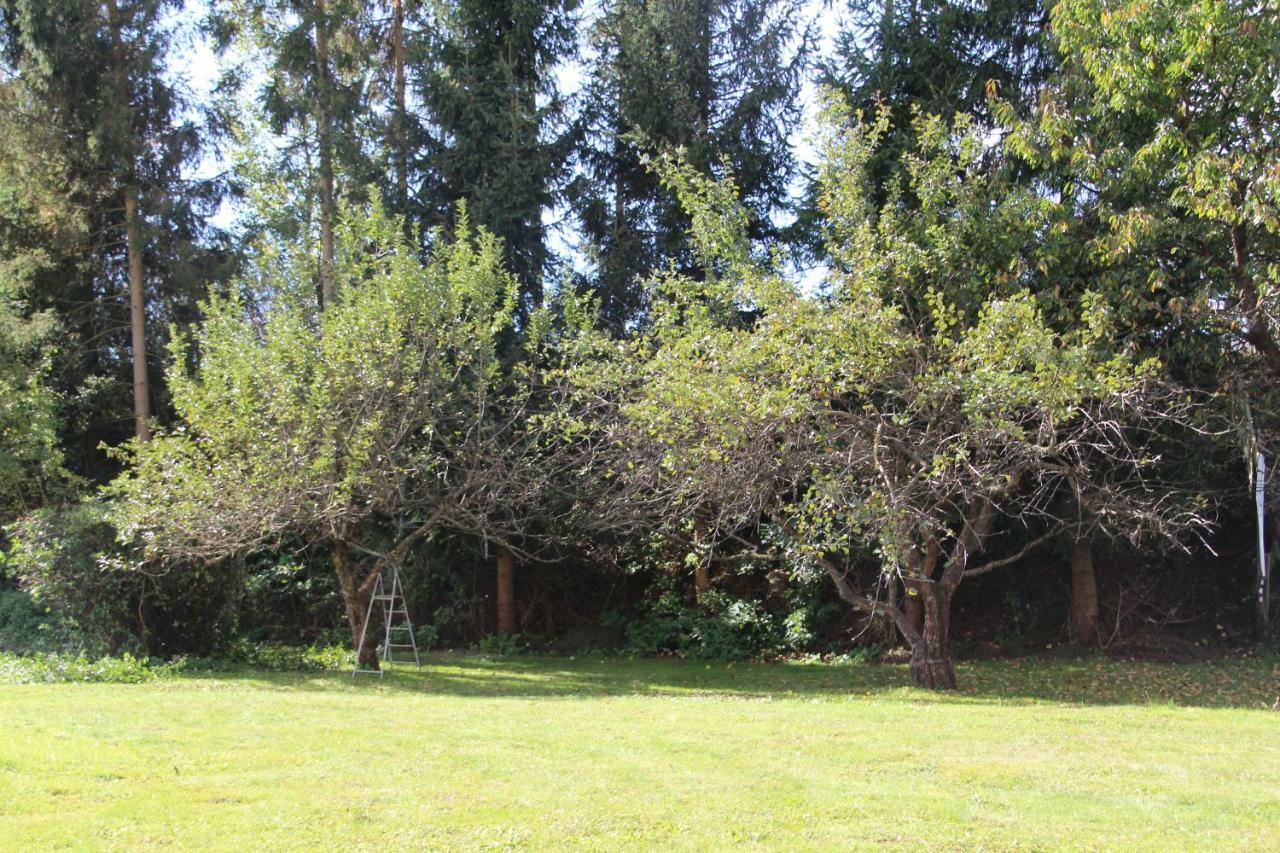 Willa Narrenhaus Fohnsdorf Zewnętrze zdjęcie